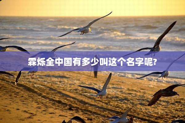 霖烁全中国有多少叫这个名字呢?