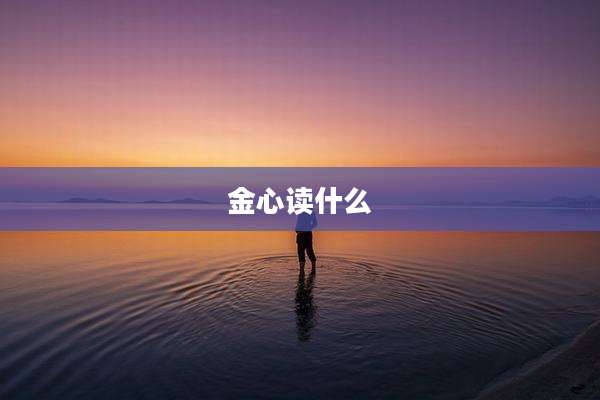 金心读什么