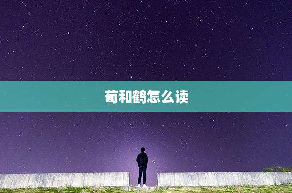 荀和鹤怎么读