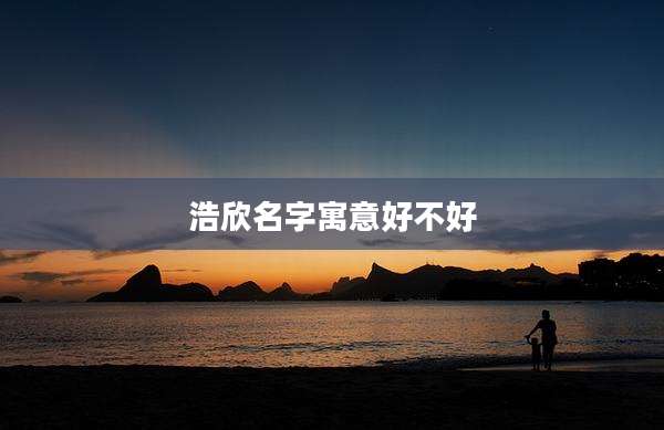 浩欣名字寓意好不好