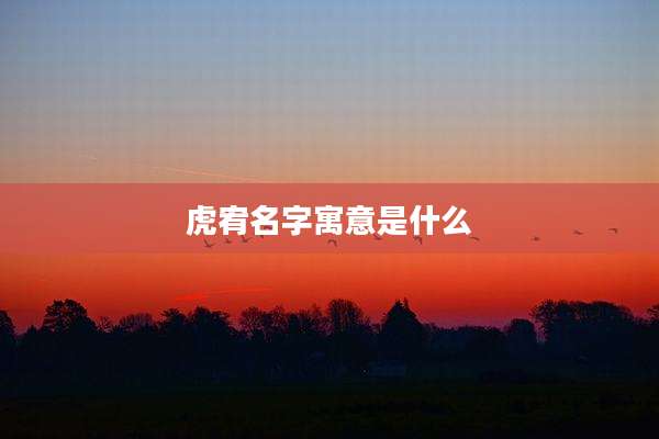 虎宥名字寓意是什么