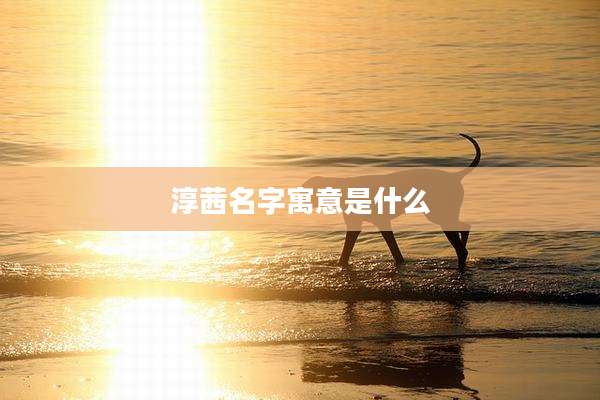 淳茜名字寓意是什么