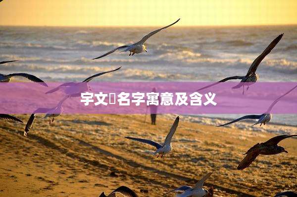 宇文玥名字寓意及含义