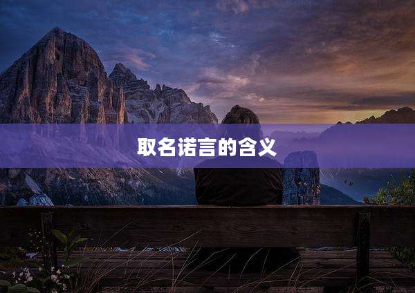 取名诺言的含义