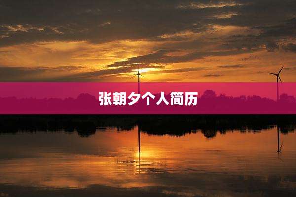 张朝夕个人简历
