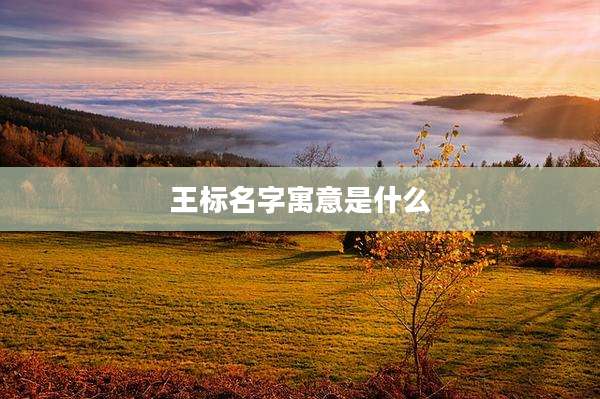王标名字寓意是什么