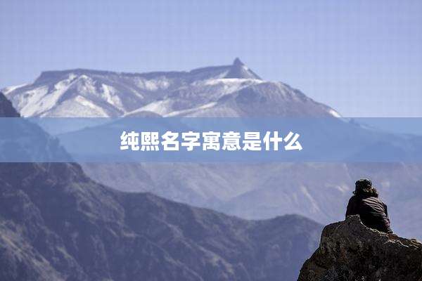 纯熙名字寓意是什么