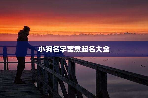 小狗名字寓意起名大全