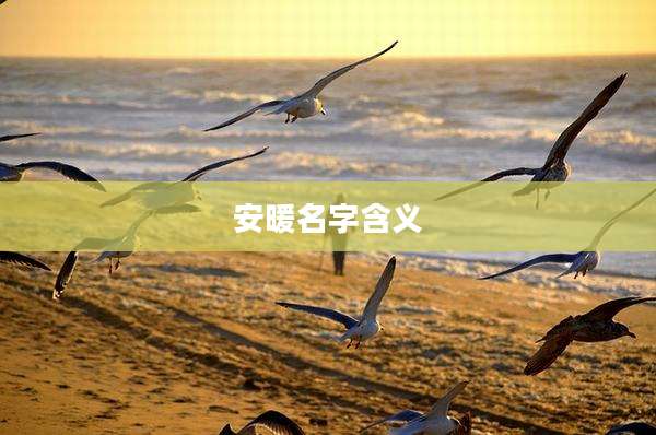 安暖名字含义