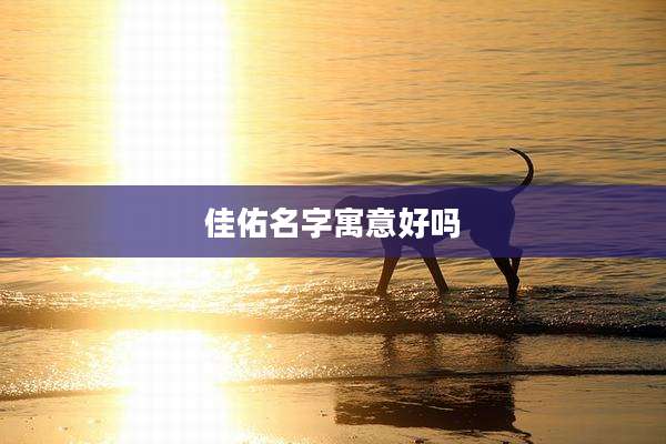 佳佑名字寓意好吗