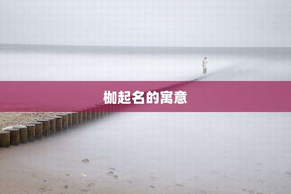 枷起名的寓意