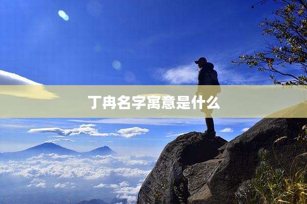 丁冉名字寓意是什么