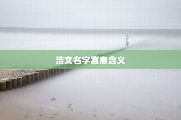 浩文名字寓意含义