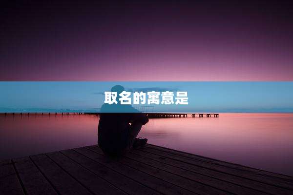 取名的寓意是