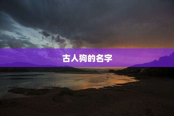 古人狗的名字