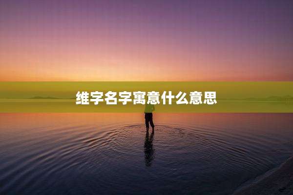 维字名字寓意什么意思