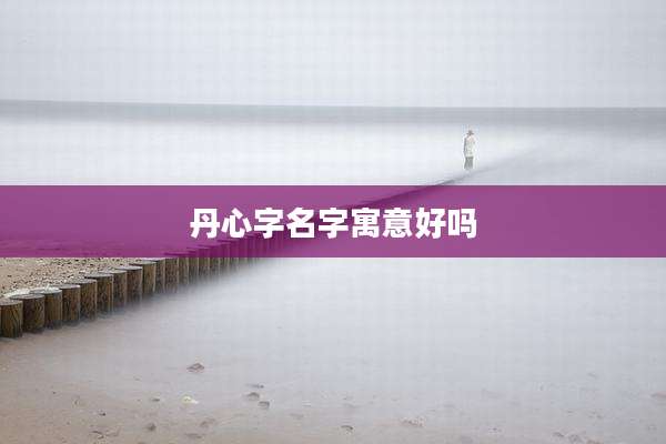 丹心字名字寓意好吗