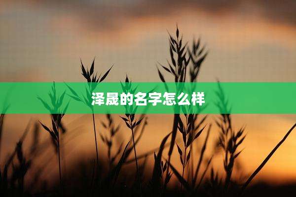 泽晟的名字怎么样