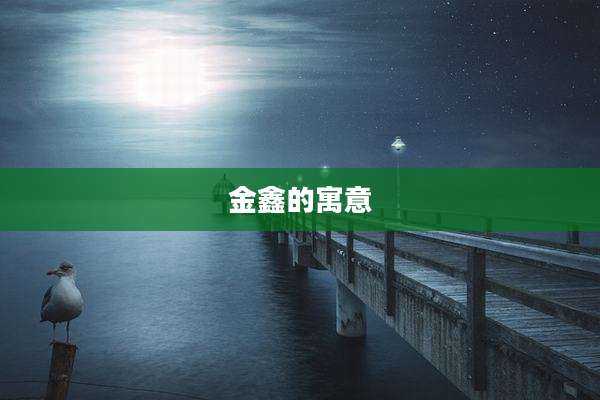 金鑫的寓意