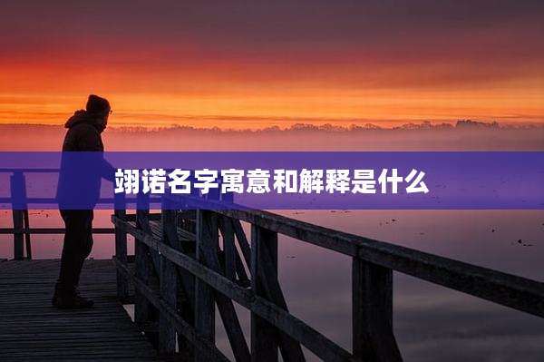 翊诺名字寓意和解释是什么