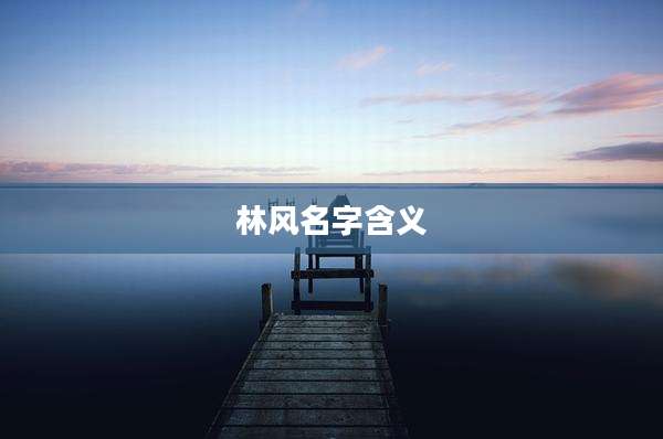 林风名字含义