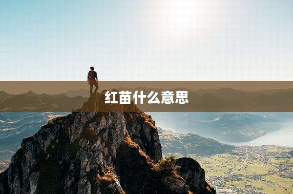 红苗什么意思