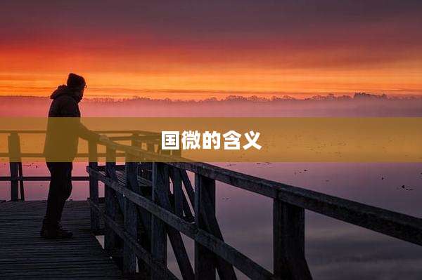国微的含义