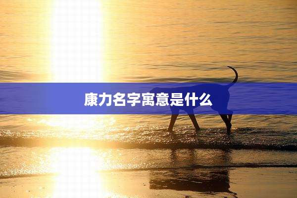 康力名字寓意是什么