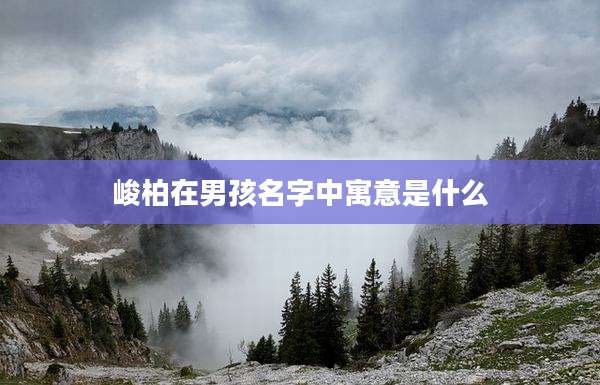 峻柏在男孩名字中寓意是什么