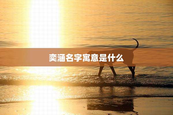 奕涵名字寓意是什么