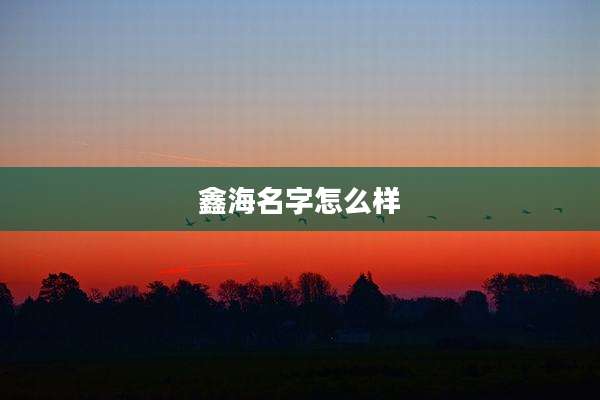 鑫海名字怎么样