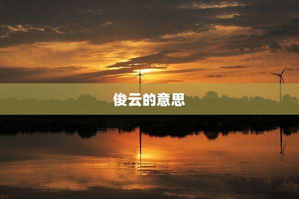 俊云的意思