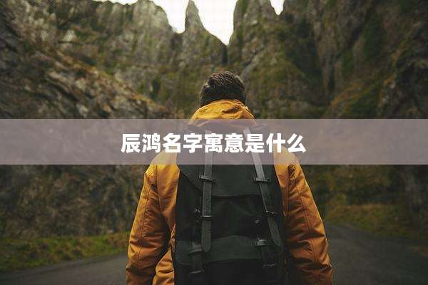 辰鸿名字寓意是什么