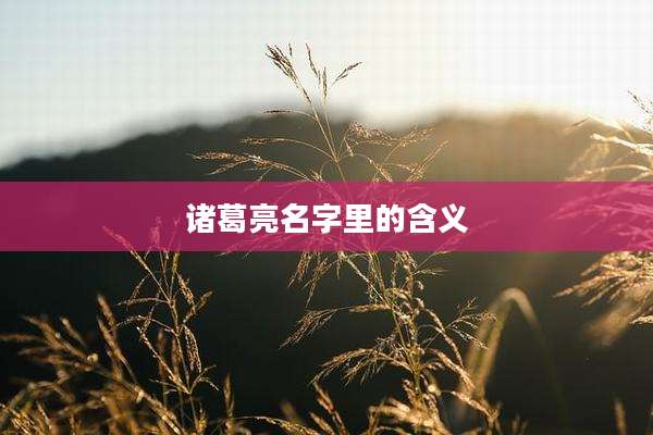 诸葛亮名字里的含义