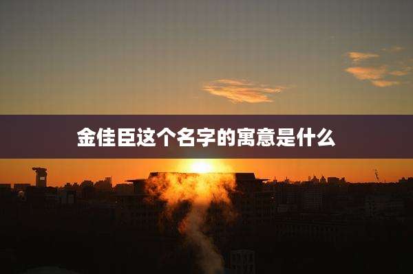 金佳臣这个名字的寓意是什么