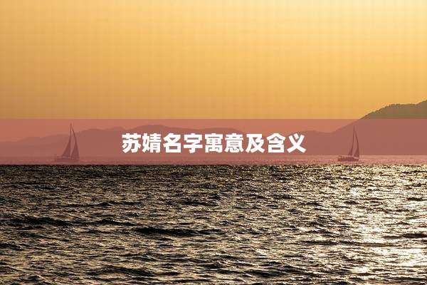 苏婧名字寓意及含义