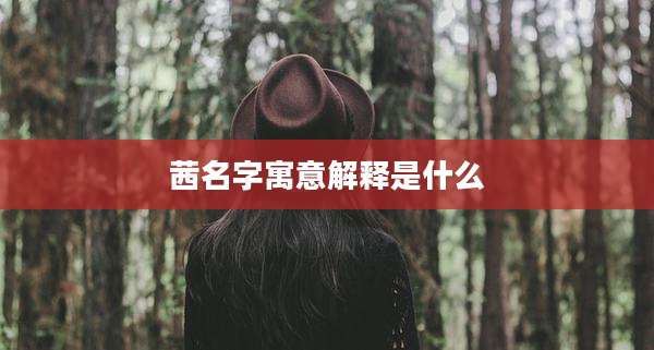 茜名字寓意解释是什么