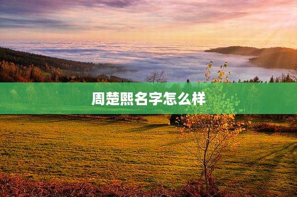 周楚熙名字怎么样