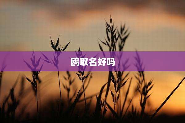 鸥取名好吗