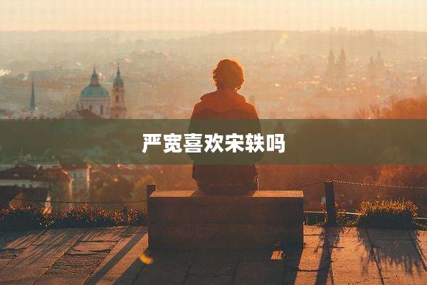 严宽喜欢宋轶吗