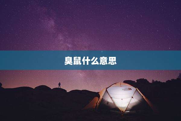 臭鼠什么意思