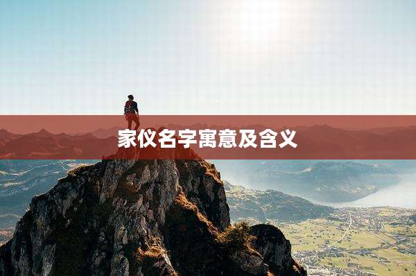 家仪名字寓意及含义
