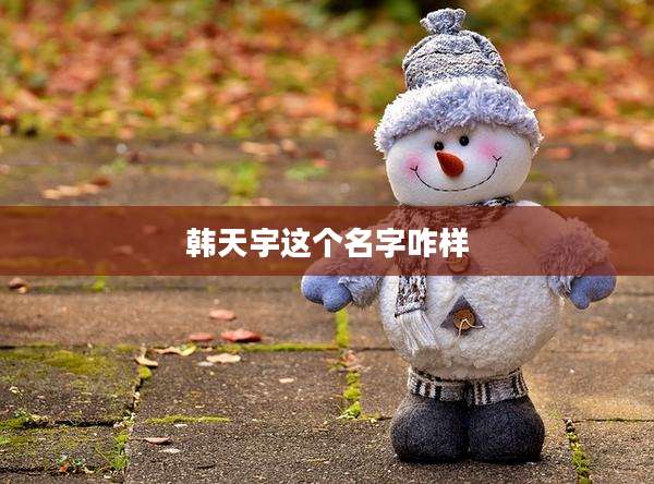 韩天宇这个名字咋样
