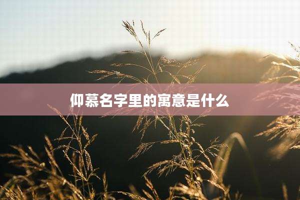 仰慕名字里的寓意是什么