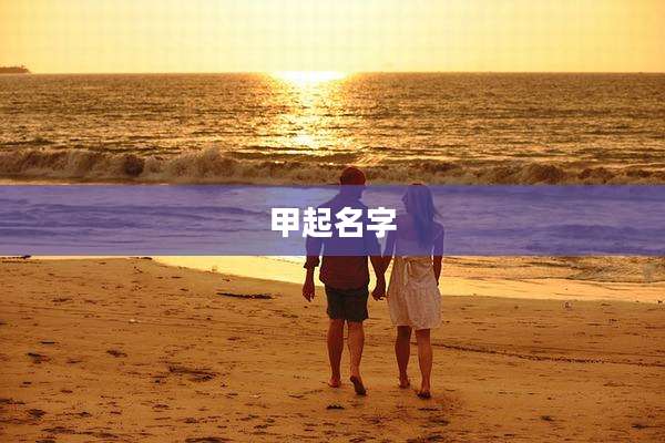 甲起名字