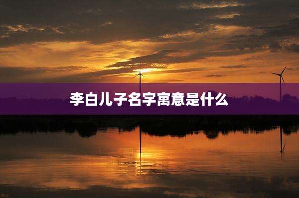 李白儿子名字寓意是什么