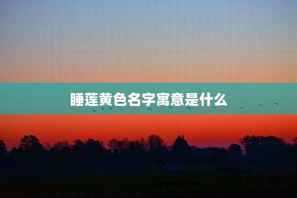 睡莲黄色名字寓意是什么