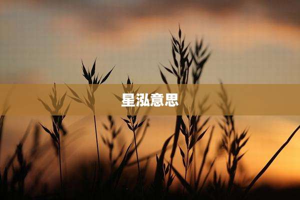 星泓意思
