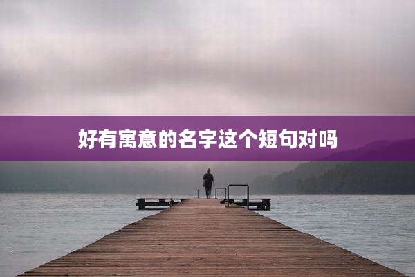 好有寓意的名字这个短句对吗