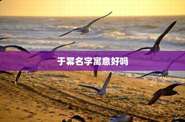 于幂名字寓意好吗